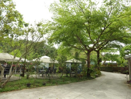 谷泉咖啡庄园内林木苍苍，还种植三千棵的咖啡树，除了提供自产自销的咖啡，还有简餐，是休闲的好地方。（廖素贞／大纪元）